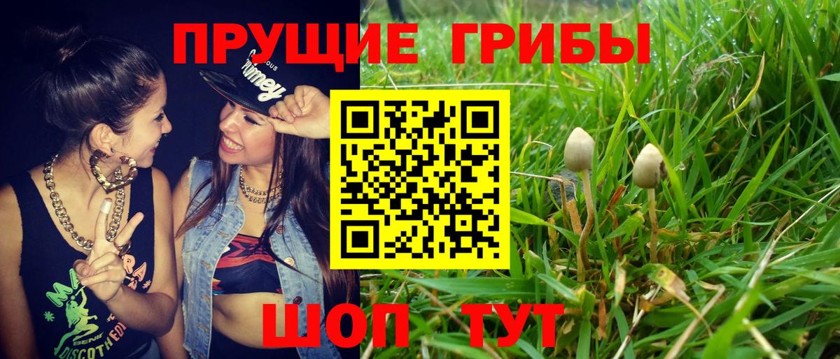 Галлюциногенные грибы MAGIC MUSHROOMS  Вход с VPN  Ессентуки 