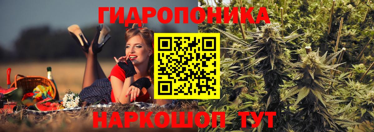Шишки марихуана MAZAR Ессентуки